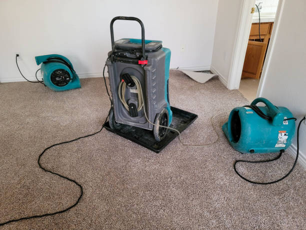 Best 24-hour water damage restoration  in Blair, NE