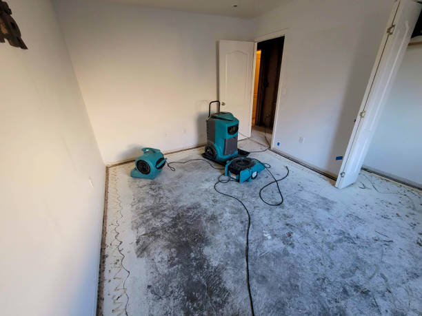 Best 24/7 water damage repair  in Blair, NE