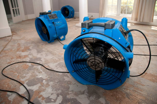 Reliable NE Water damage restoration Solutions