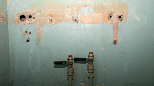 Best Water damage restoration company  in Blair, NE