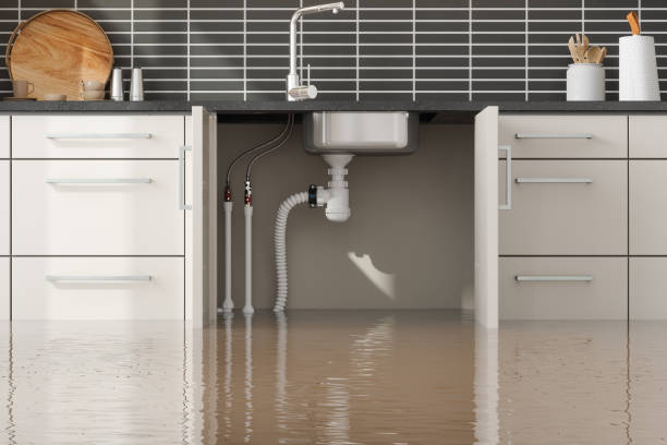 Best Water damage cleanup near me  in Blair, NE