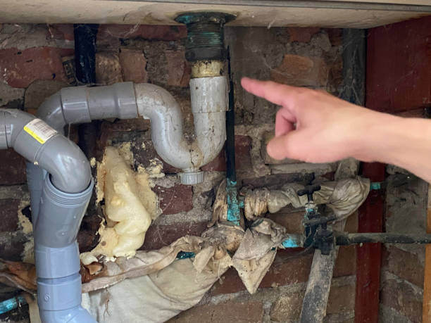Best 24-hour water damage restoration  in Blair, NE