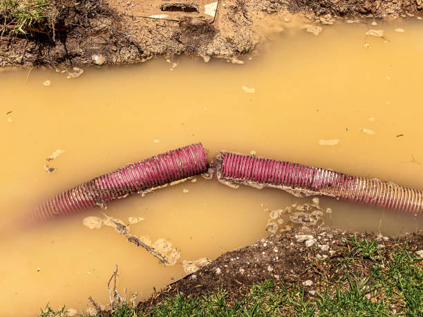 Carpet water damage restoration in NE