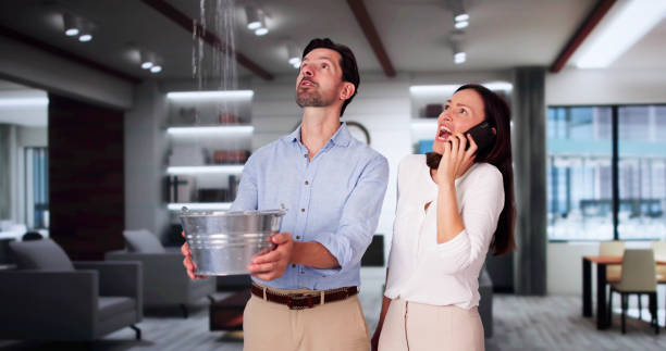 Best Basement water damage restoration  in Blair, NE