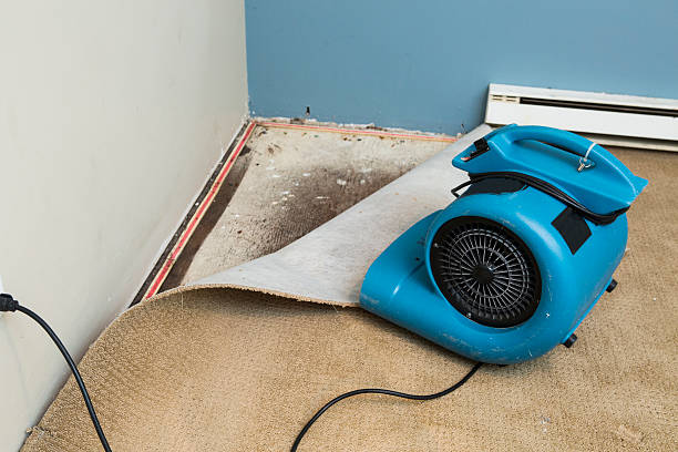 Best Fire Damage Restoration  in Blair, NE